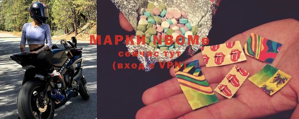 ПСИЛОЦИБИНОВЫЕ ГРИБЫ Богданович