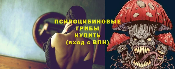 гидропоника Болхов